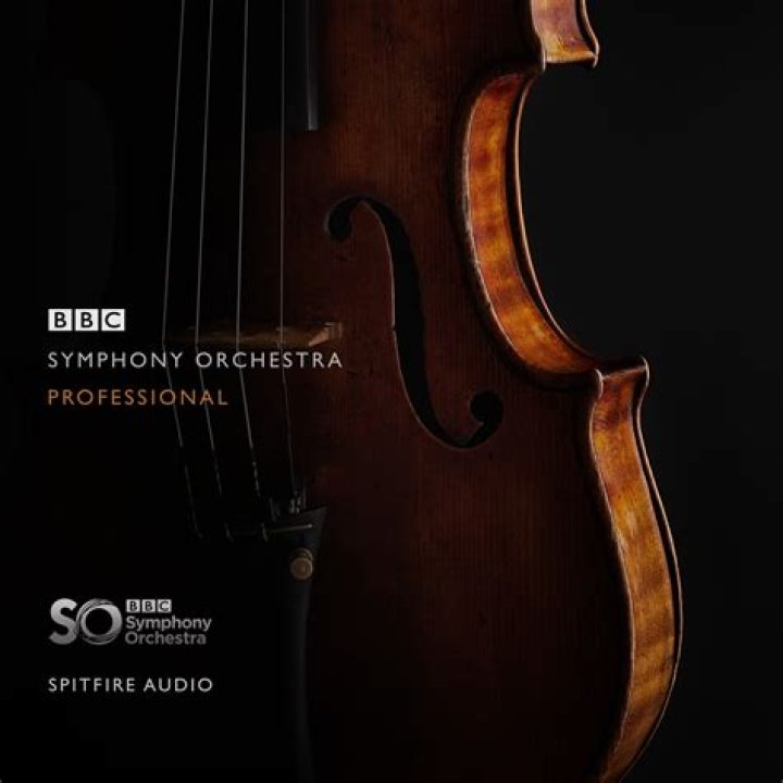 Discover The Symphony Of Genres