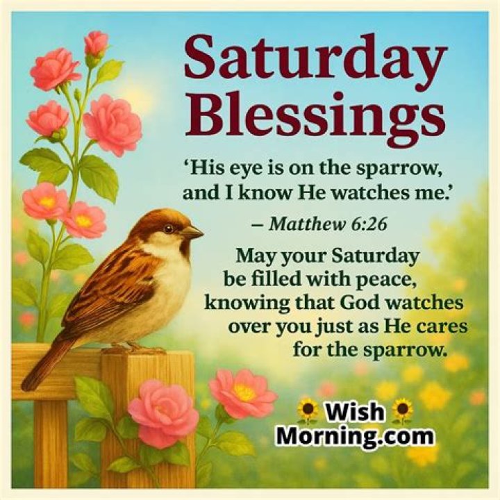 Unlock The Secrets Of Saturday Morning Blessings: Discoveries And Insights