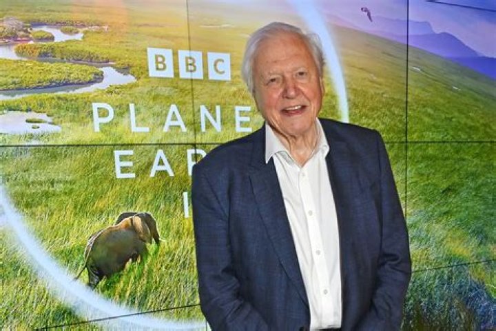 Unveiling David Attenborough's Net Worth: A Journey Of Discovery
