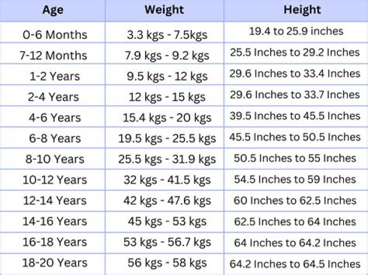Unveiling Heorhiy Bushchan: Height, Weight, And Beyond