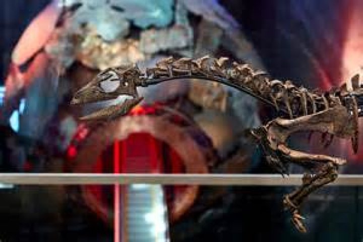 Unveiling Slipknot's Enigma: Discoveries And Insights
