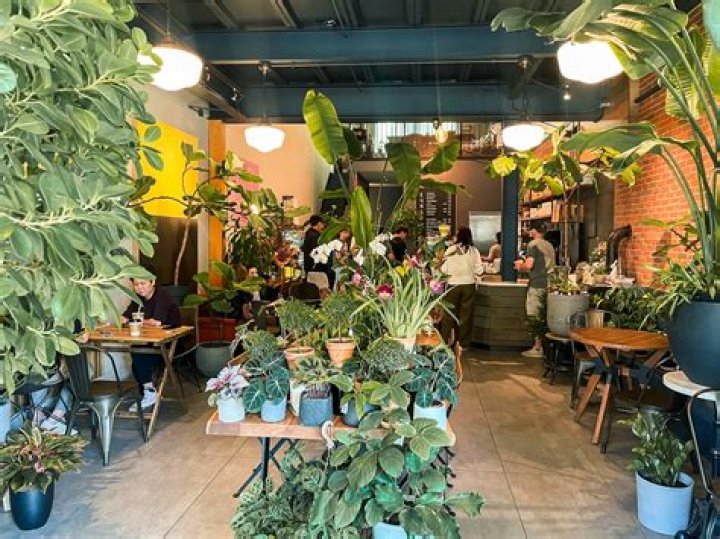 Unveiling The Enchanting World Of Kunst Coffee Haus Bayside