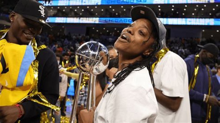 Unveiling The Enigma: Diamond Deshields