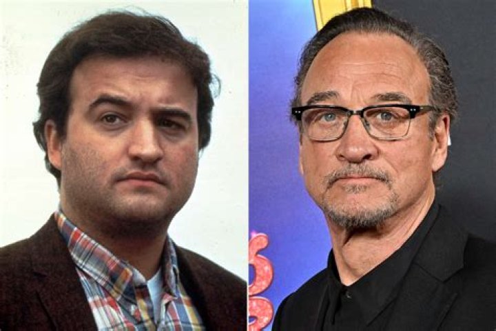 Who Is Jim Belushi's Brother Billy?